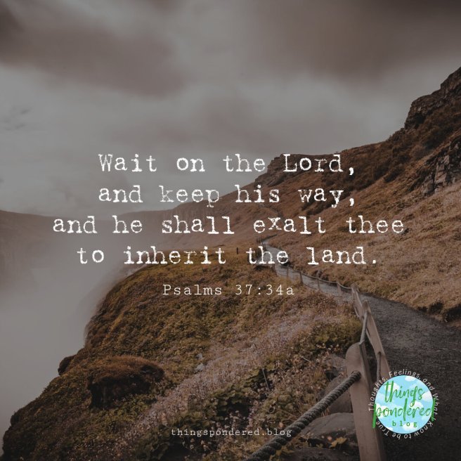 Whatever it is, the way you tell your story online can make all the difference.